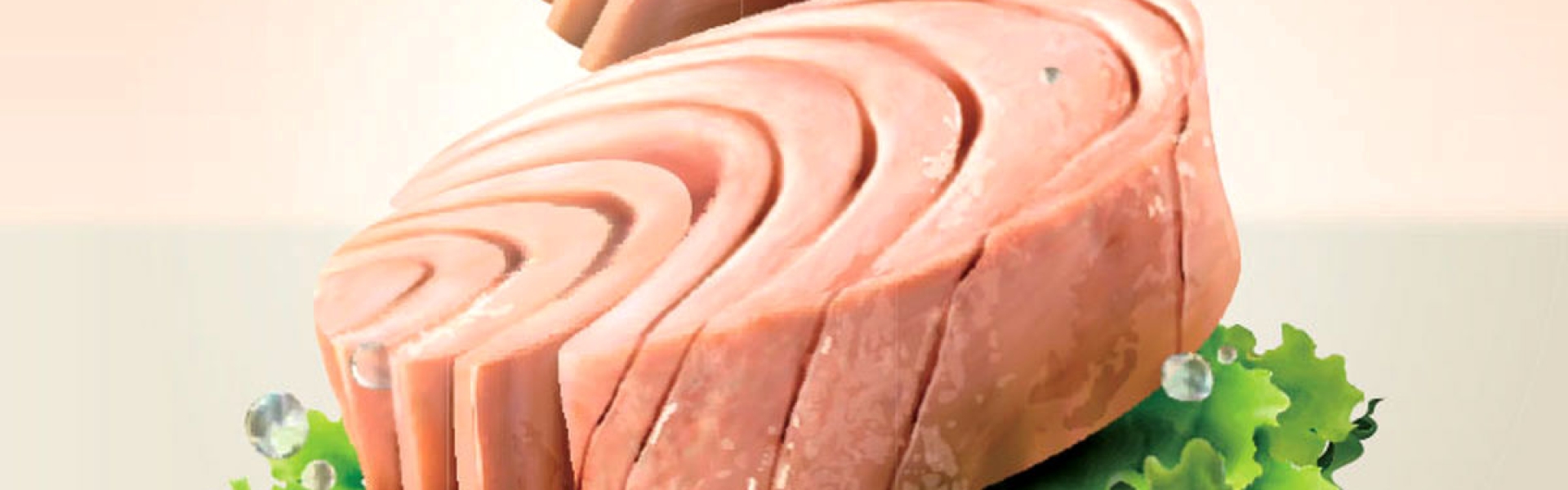 What is special tuna fish?