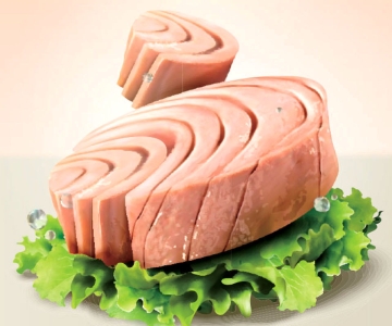 What is special tuna fish?